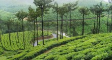 bangalore_nilgiris_2.jpg